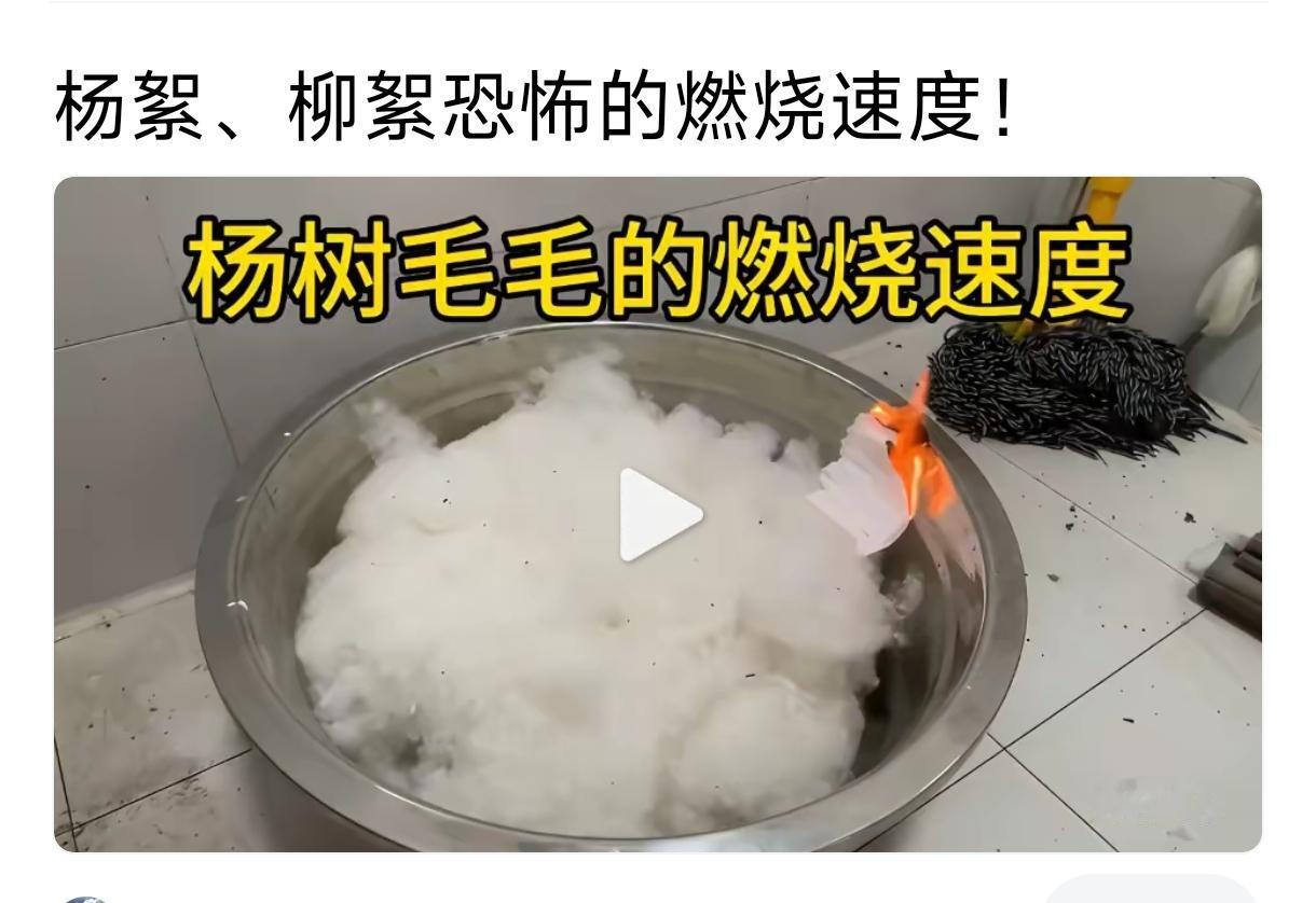 最近这几天，似乎呼啦啦出来许多“讨伐杨树”的事情，这个是考虑环保？怎么看着像有