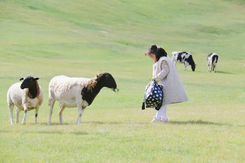 萨日娜曾言：“我至今觉得，辛柏青是中国男演员中不可多得的、极具儒雅气质的演员。”