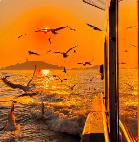 “只要你亲手伺候过一个屎尿屁都不能自理的老人，哪怕只有两个月，你就会彻底明白：人