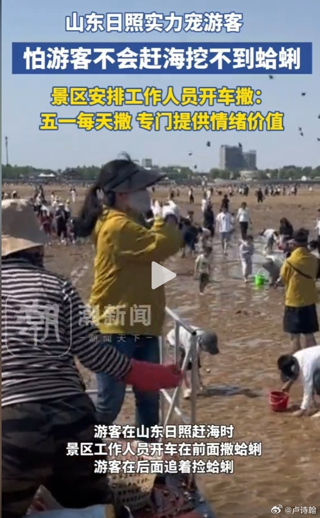 为怕游客赶海空手而归失望景区直接往沙滩上撒蛤蜊[666][666][笑着哭]