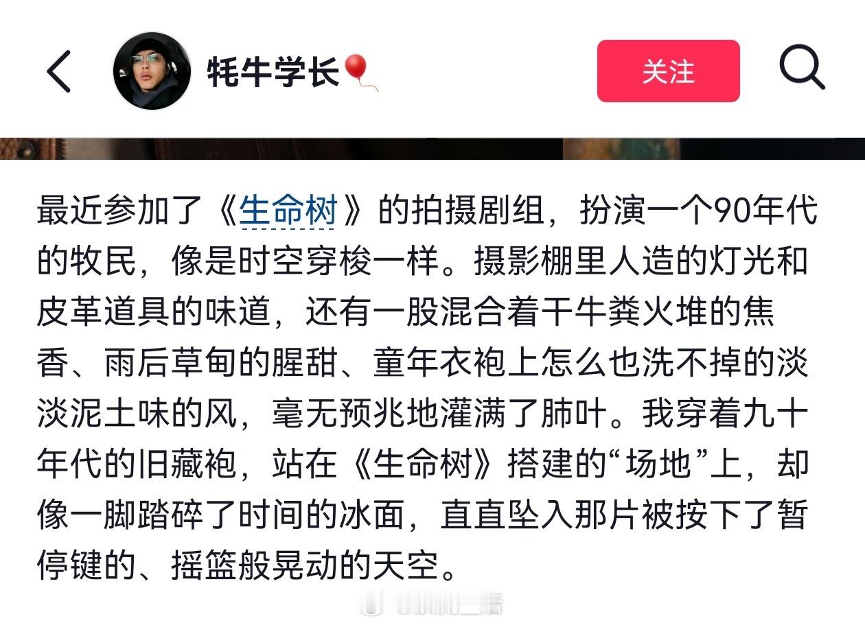 杨紫主演的剧，品质包好的。​​​