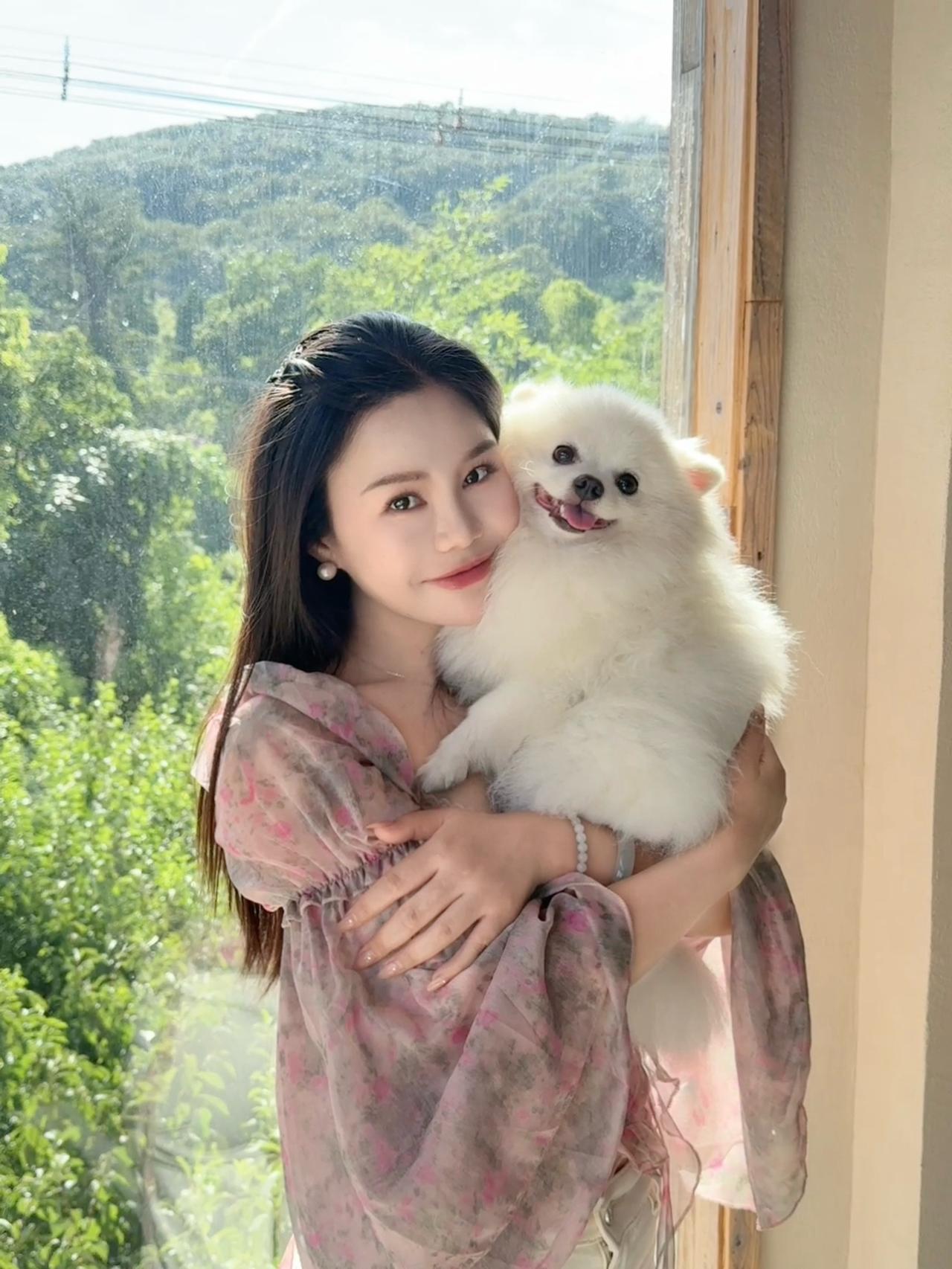 白色博美可爱博美犬治愈系博美博美拍照