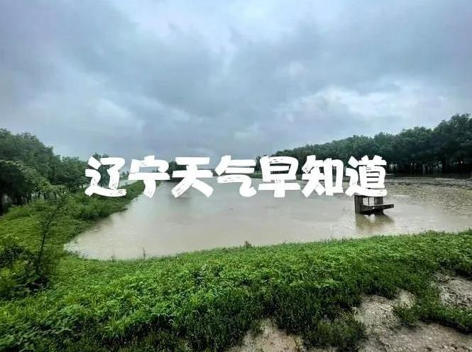 辽宁的朋友注意了！今天是7月29号星期二大家早上好，大部分地有中雨、大雨、大暴雨