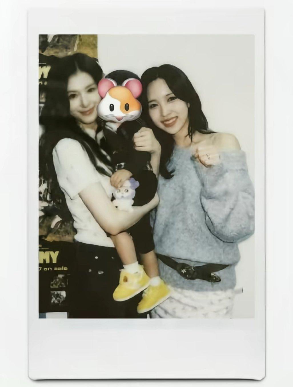 【凑崎纱夏名井南】老天爷你是不是搞错了这才是我的原生家庭吧。我不是一出生身上