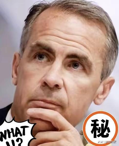 快讯！快讯！加拿大刚刚宣布！​​东方大国关税反制落地！加方跟风加税遭重拳回击