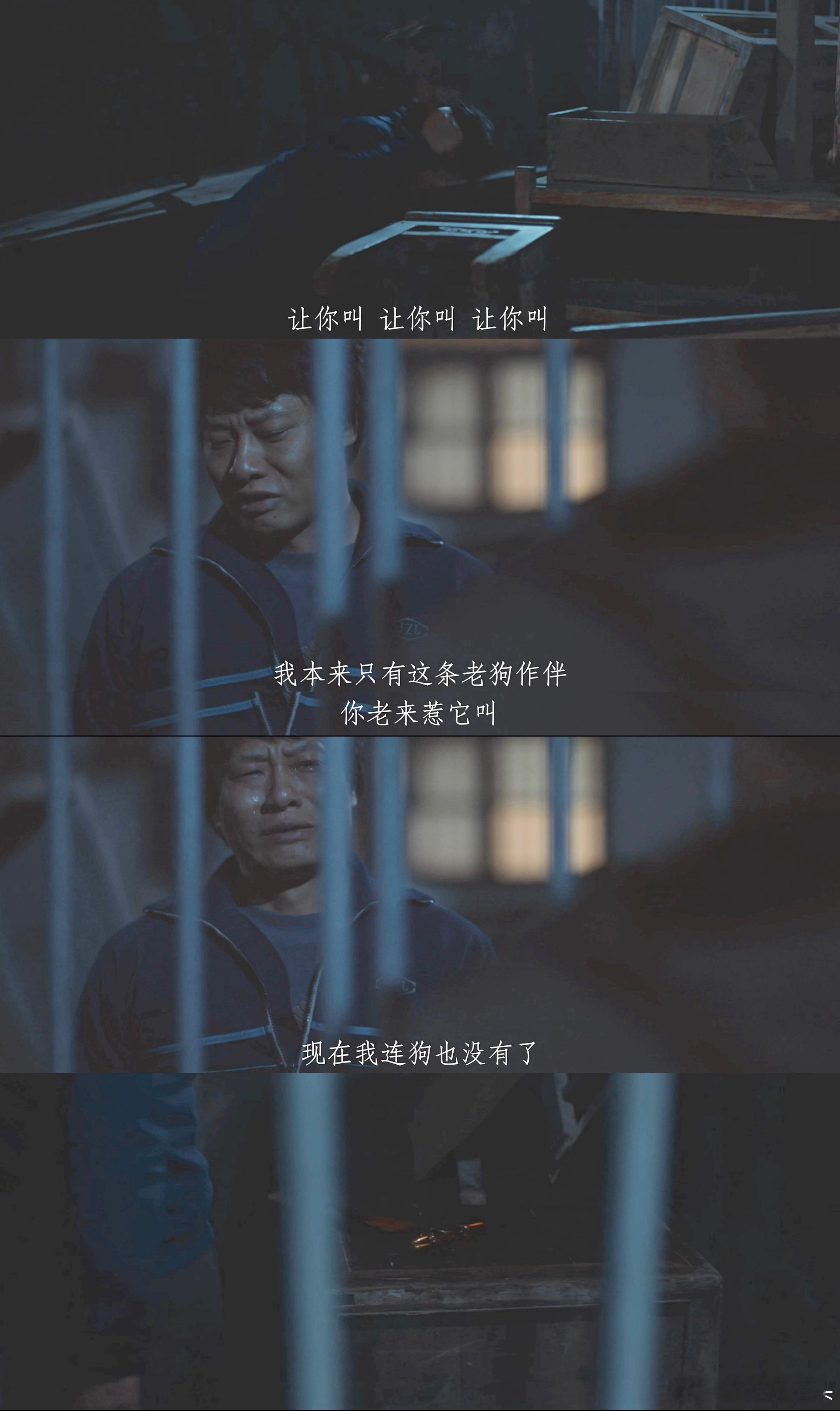 悬案里这个汪向前演的太好了......上一秒把狗敲死，下一秒为狗哭丧………前几集