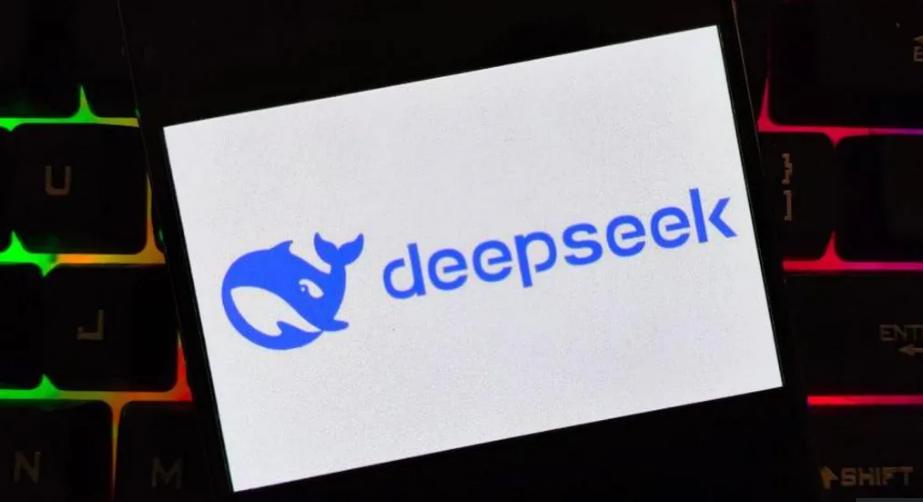 因为DeepSeek，今年的世界AI峰会气氛有点不一样全球AI峰会正在巴黎召