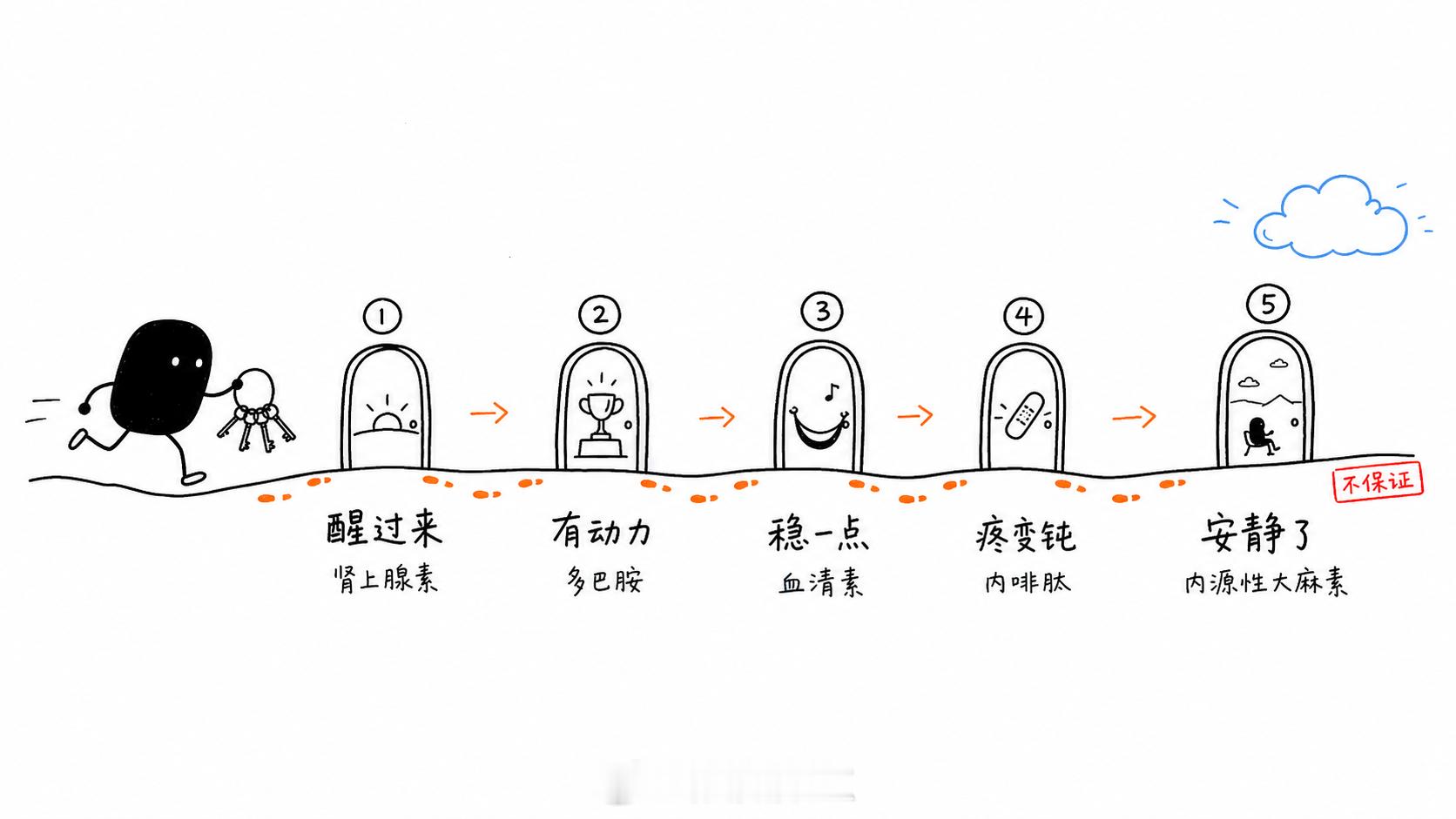 今天学到了，跑步其实有5种“奖励激素”阶段，你能跑到哪一层？其中第二层和第五