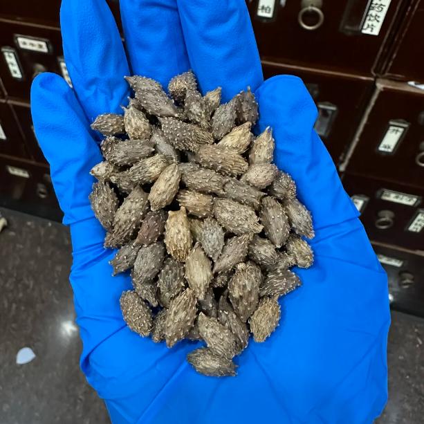精髓亏虚髓海空！妙用一方唤醒耳源动力，填精生髓鸣响停临床上有一类耳鸣患者值得深