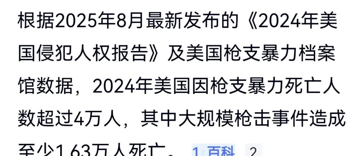 很多人都看到过关于美国枪支和毒品泛滥的新闻。美国2024年因枪支暴力死亡人数超4