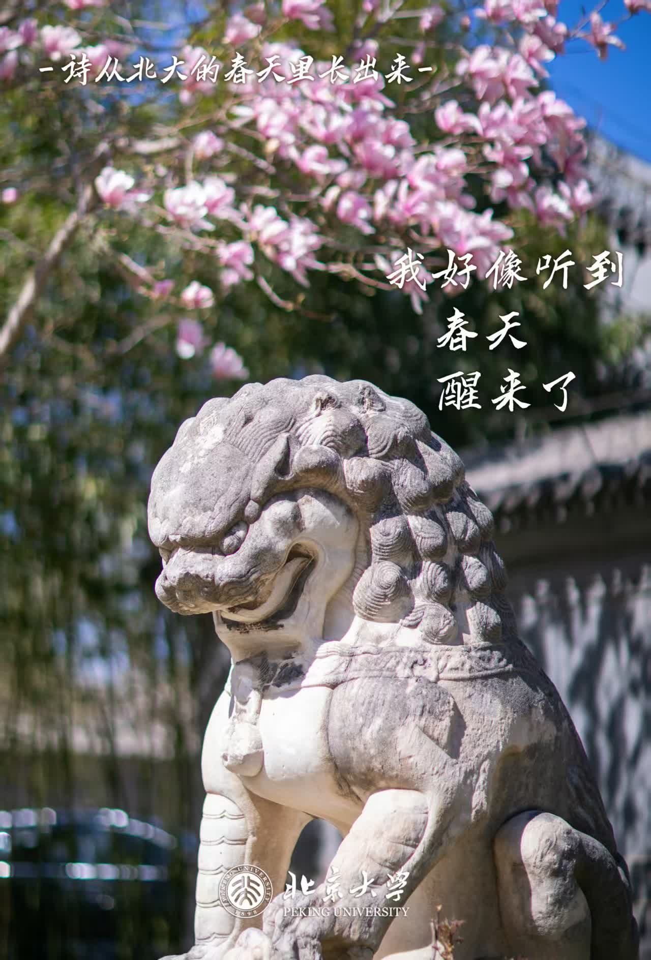 我好像听到春天醒来了（摄影：郭梦姣，小编：何鑫）
