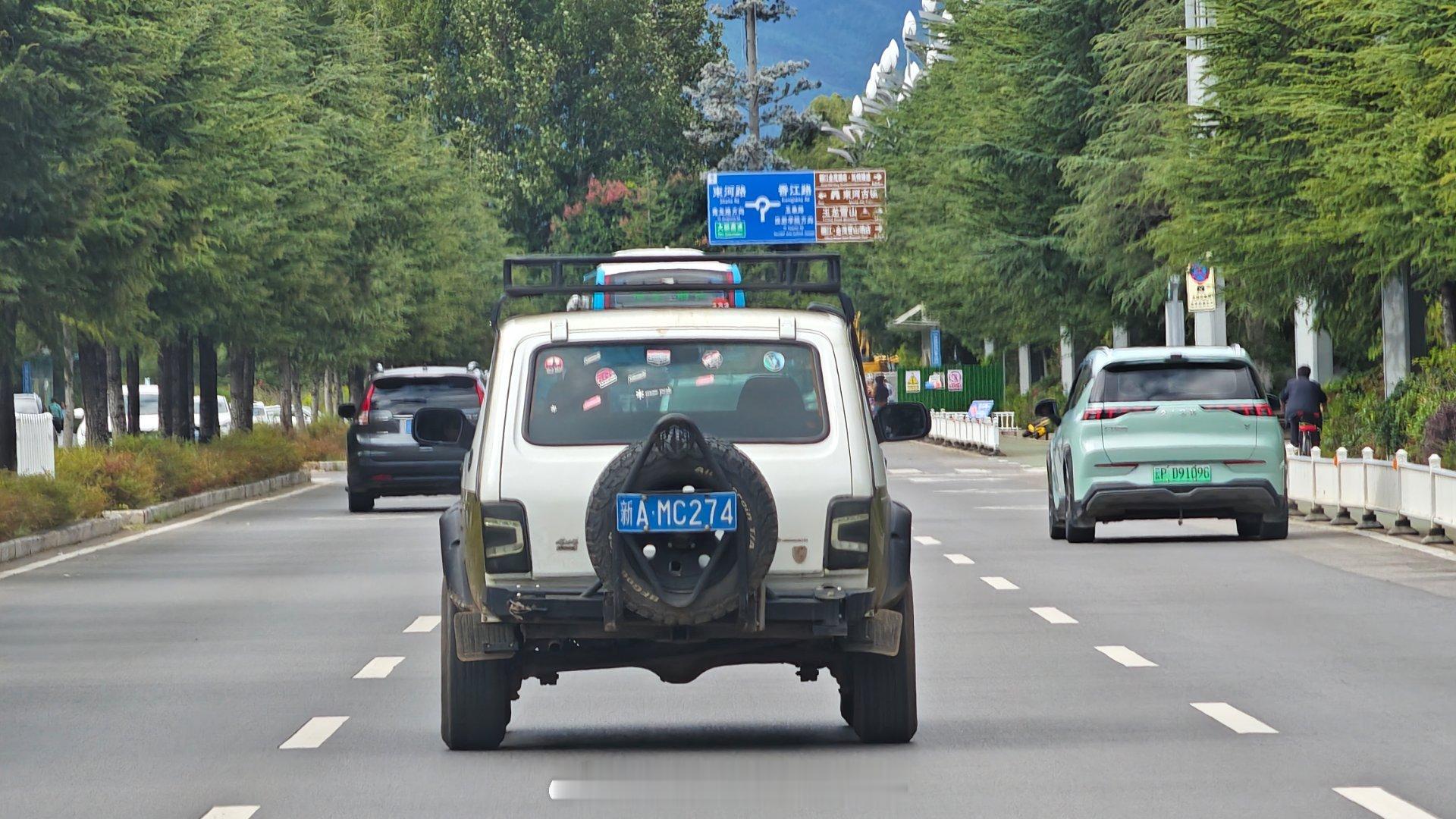 为什么泥娃在丽江这么多？一天能看见五台....国内稀有车稀有车实拍大v聊车​​