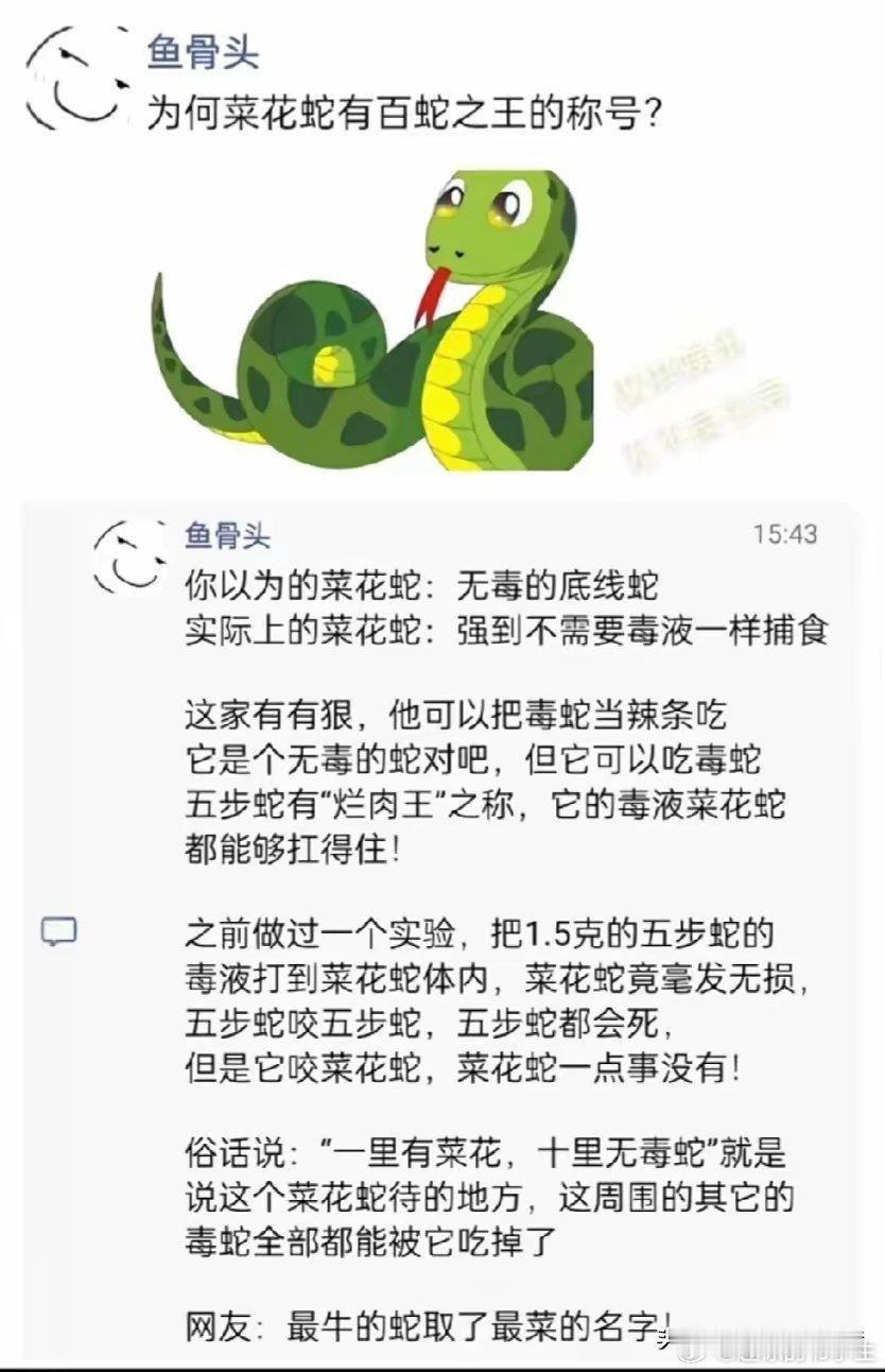 朴实无华的都很牛啊