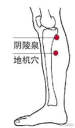 10月13日北派实时，北派古法长生图，强通八万四千气脉，中医穴位流注，返老还童，长寿过百岁。明日，丙