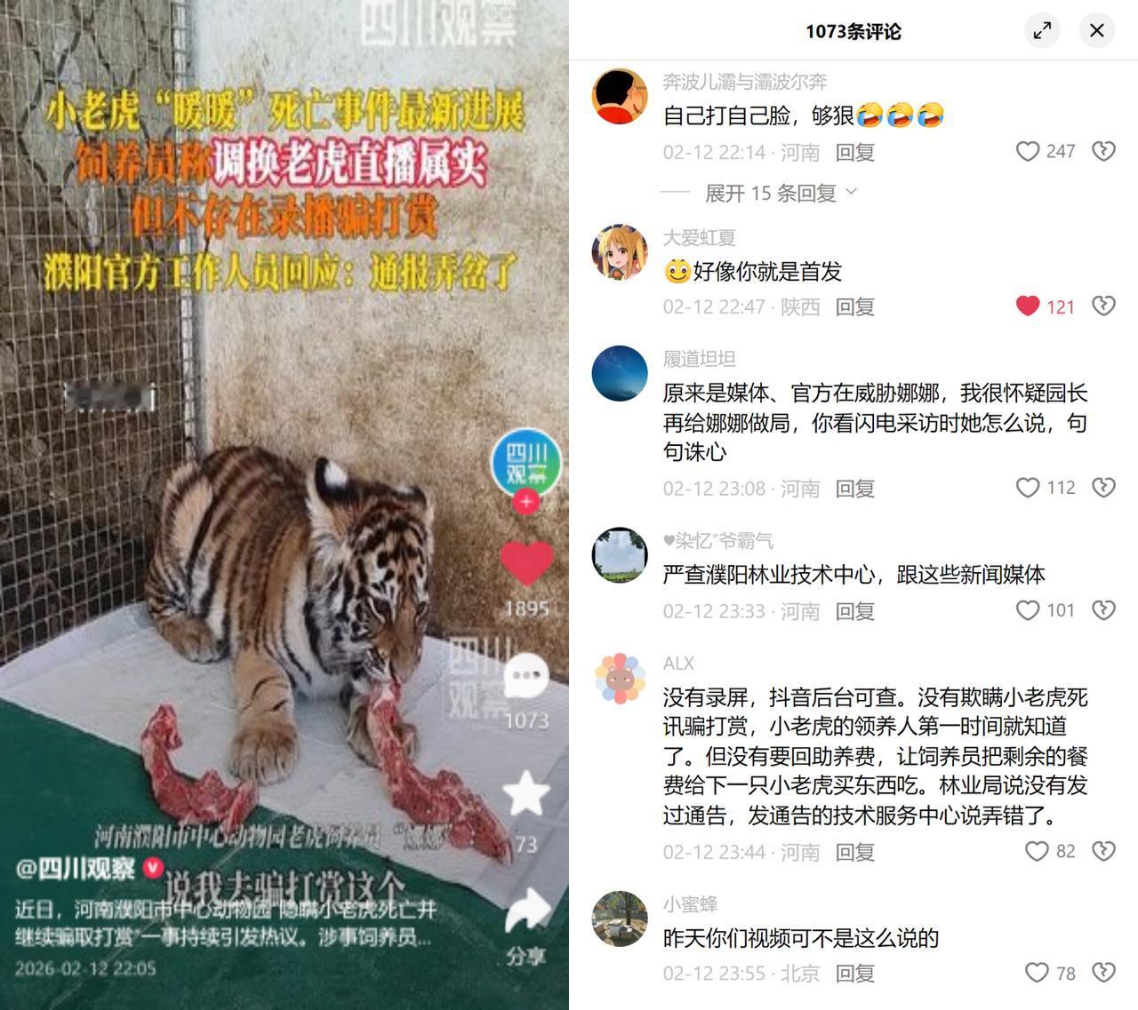 虎死瞒报，通报还弄岔了？河南这家民营动物园，小老虎暖暖死了，园方换虎继续