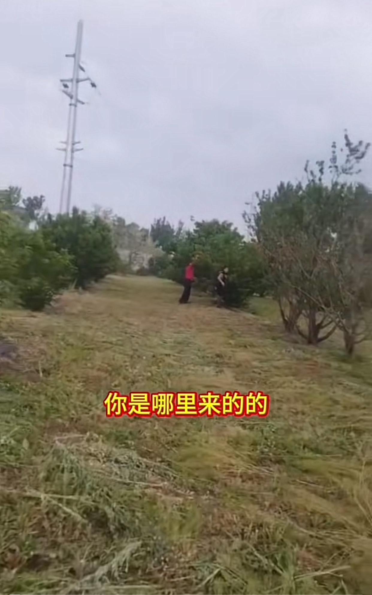 近日山东青岛，一大哥大姐在自家果园旁看到一辆车停着，寻思是不是有客人来摘樱桃，结