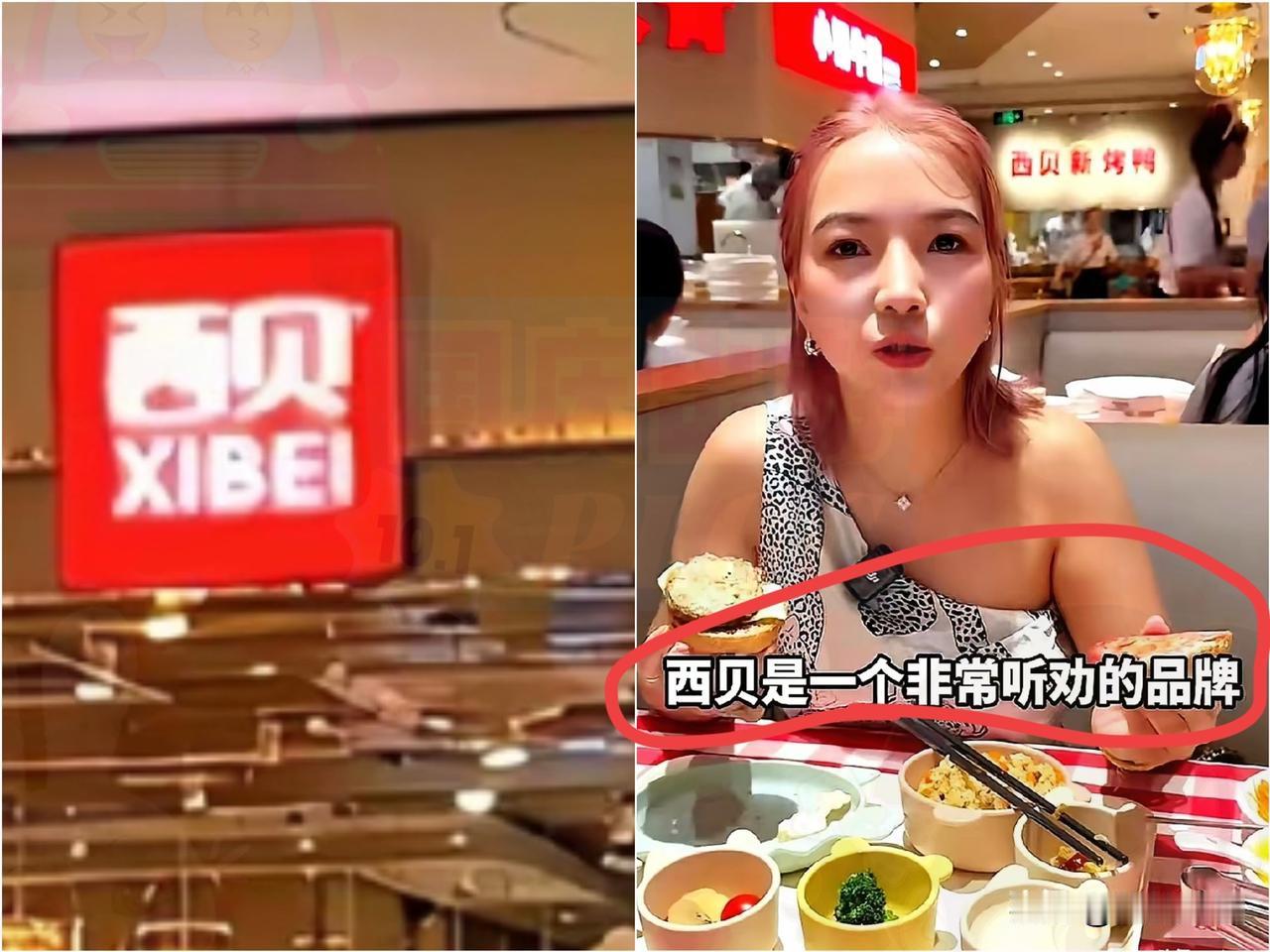 一名网红探店西贝餐厅，本想为西贝说一些好话。没想到这位网红把镜头怼着一盘酸菜骨