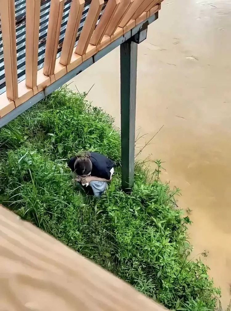 不是，她是在找什么东西吗？