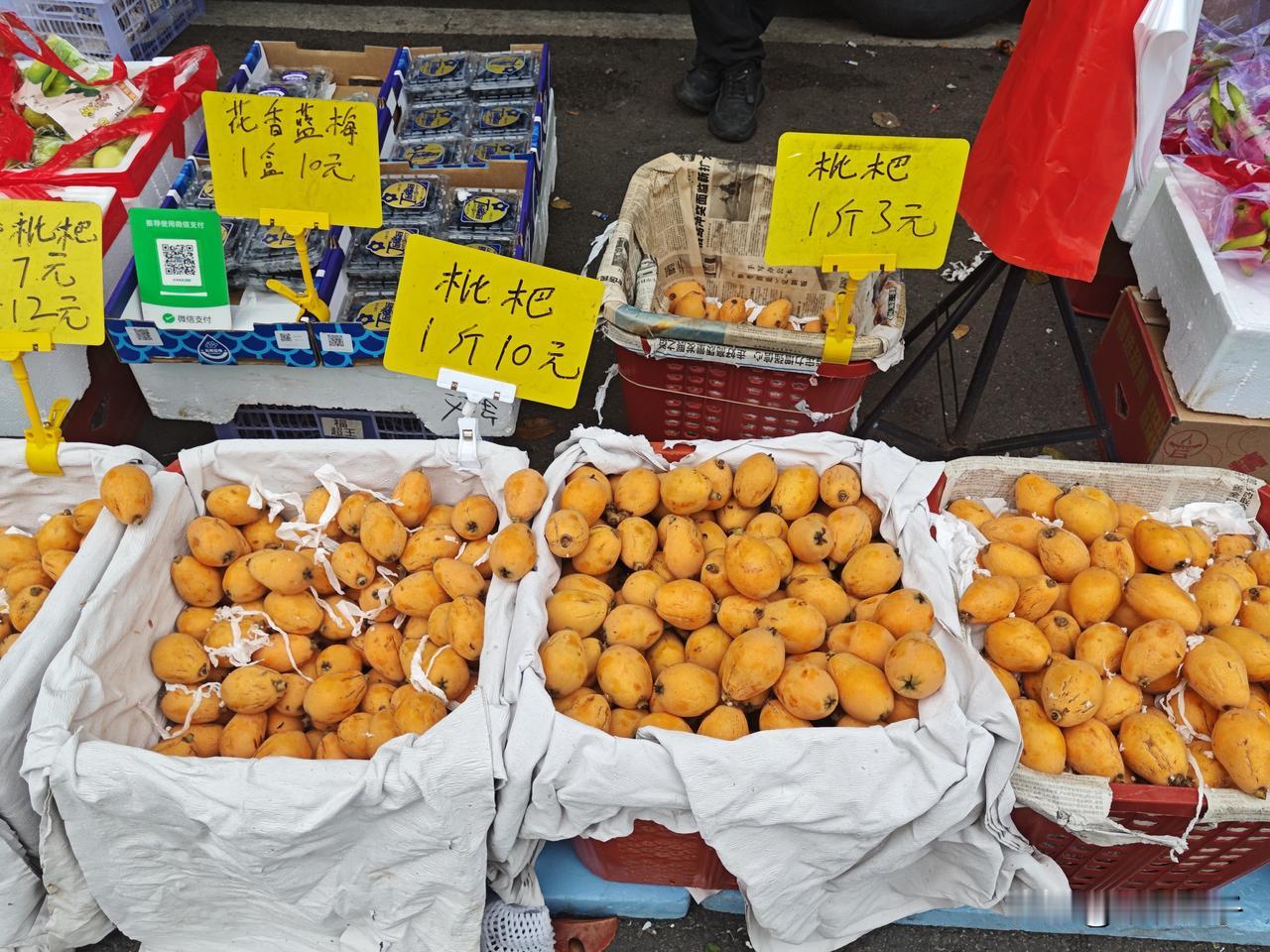 在福州生活的乐趣，就是把日子过得松弛又舒服🌿逛不完的免费公园，走不完的江滨绿
