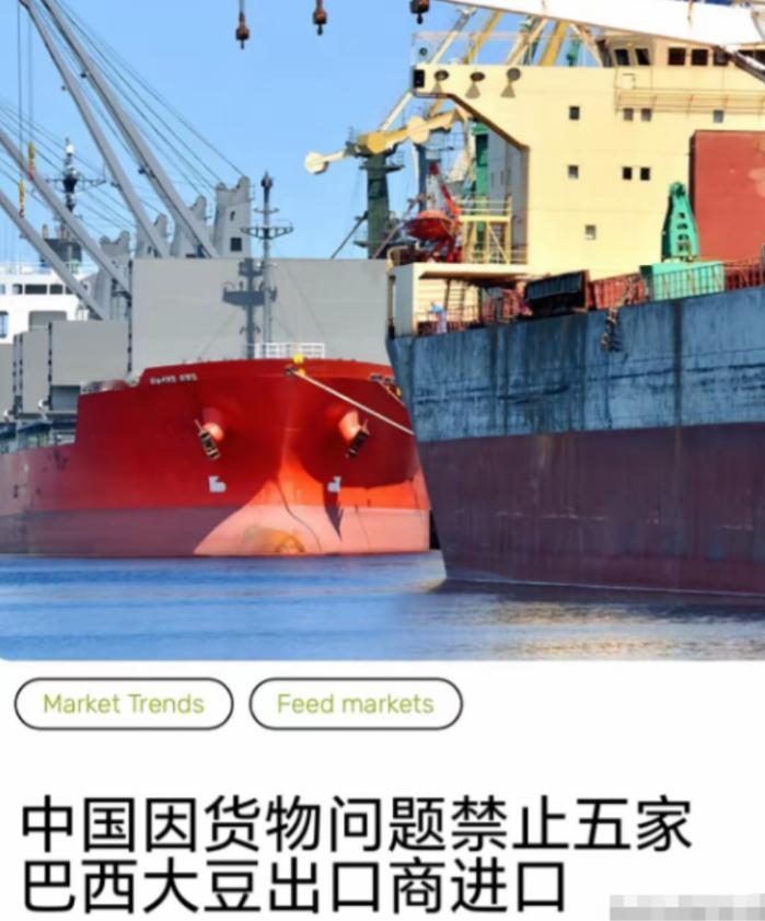 真是扶不起的阿斗！与美国同样卖大豆给中国的巴西，现在应该醒目一点才是，但是据路透