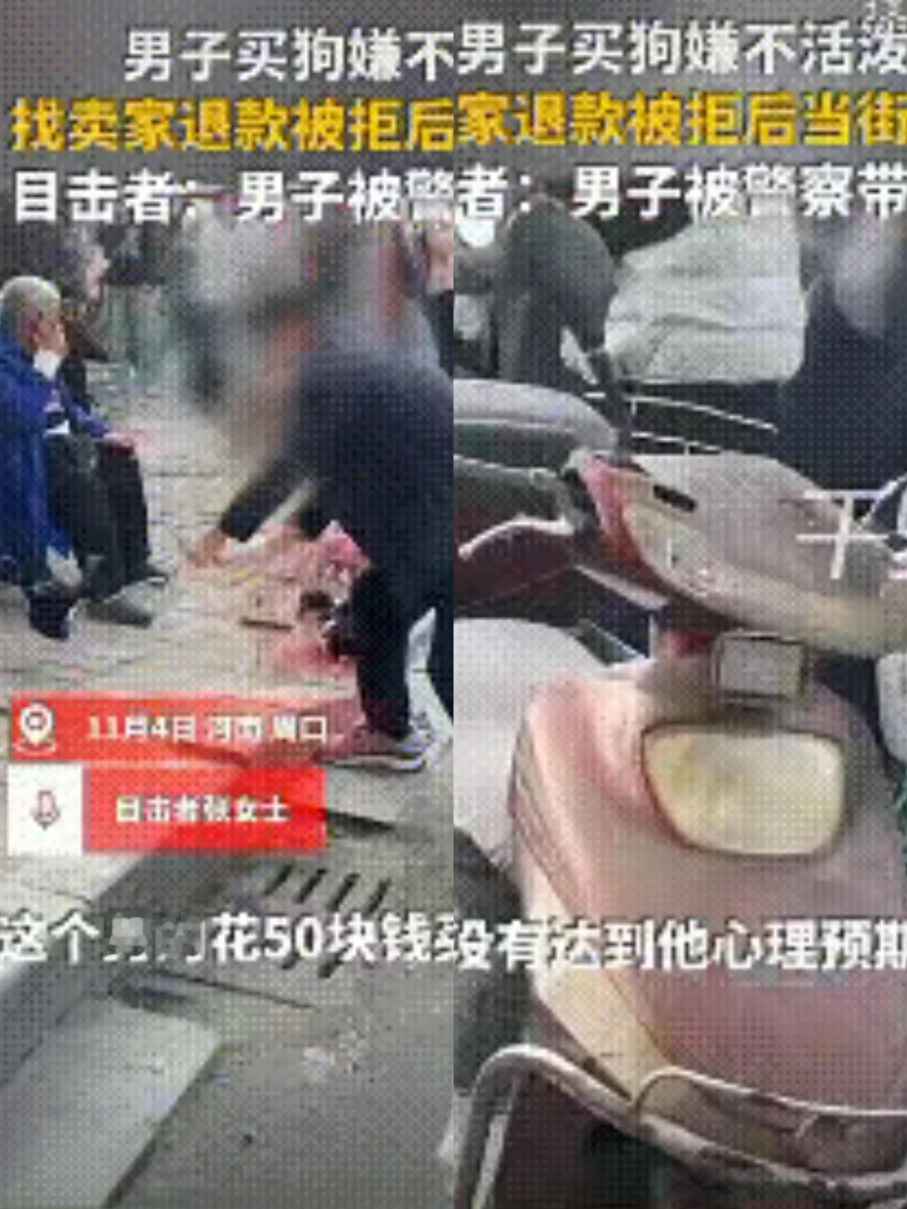 可怜的小狗到死也不知道自己做错了什么一男子在街上花50元买了一条小狗，回