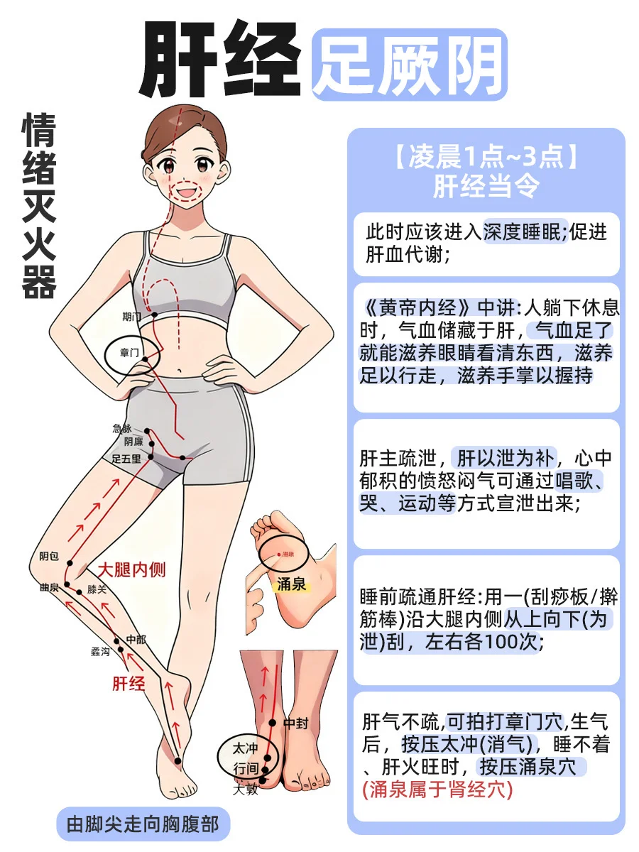 十二经络图｜病多是堵出来的 学会疏通很重要