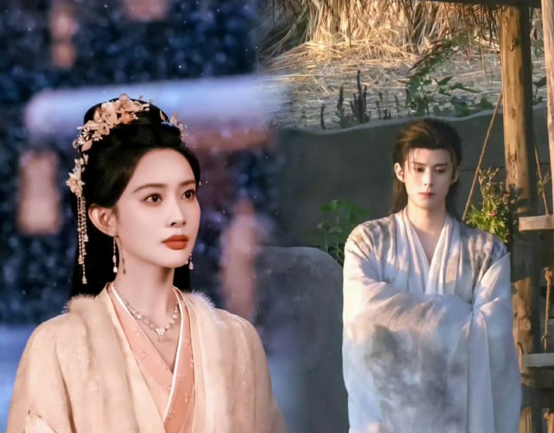 王鹤棣已拒《将门毒后》，那孟子义还会拍吗？这本书其实拿到现在来说，确实有点古