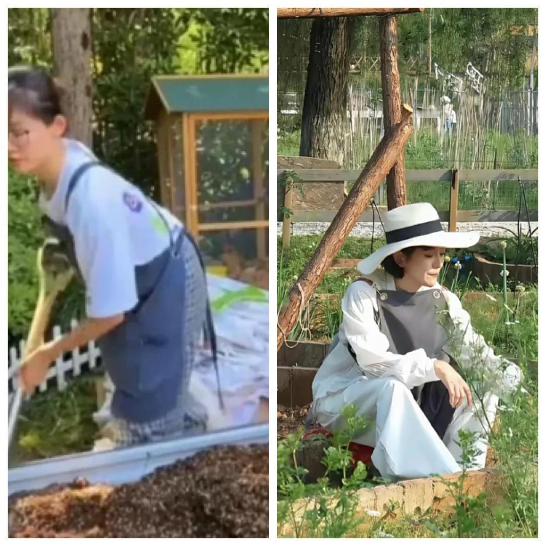 看杨乐乐种菜，就知道苗苗喜欢在院子养鸡种菜，多么真实了。杨乐乐说喜欢田园风，可