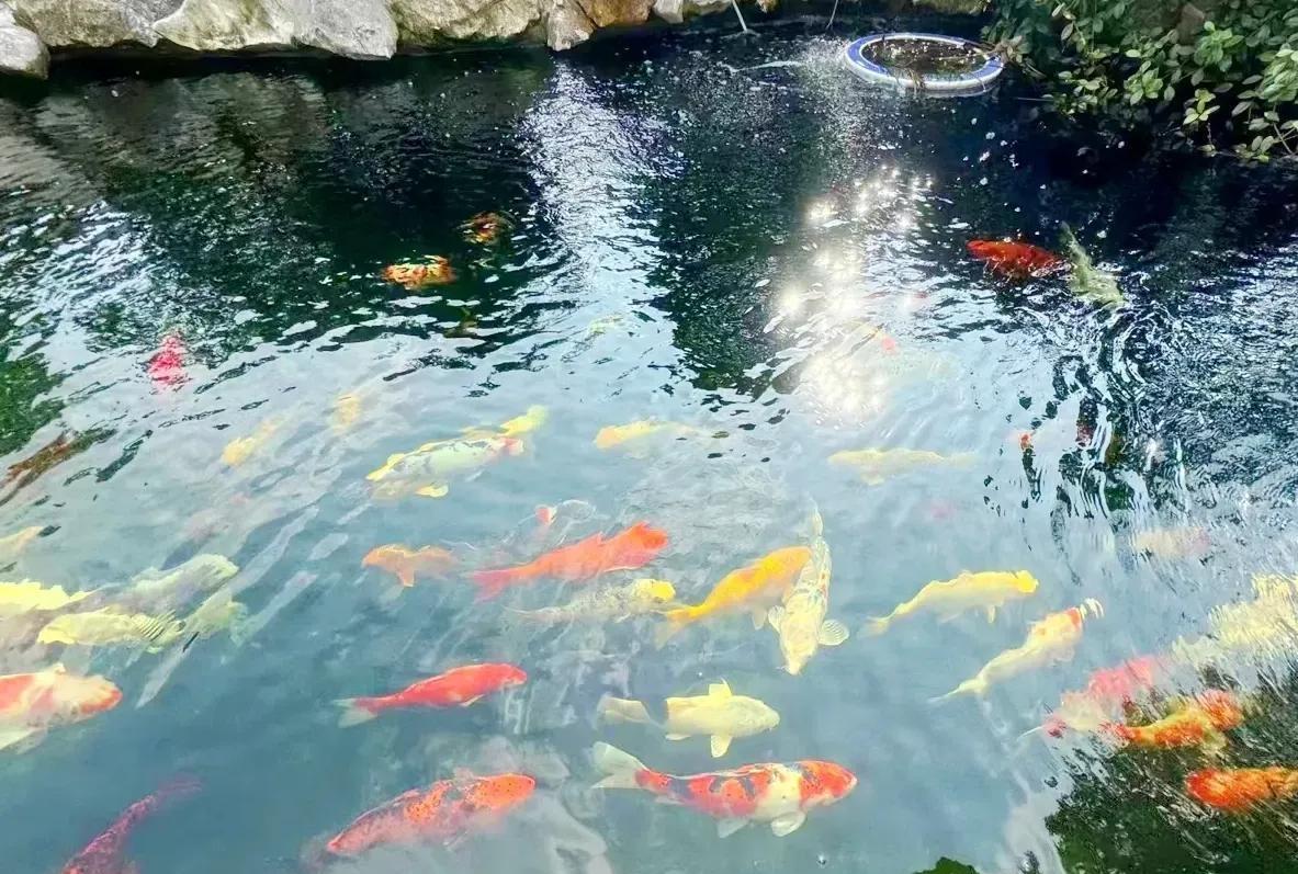 世俱杯踢到现在，思路基本上清晰了。站在资本运作的角度，四强应该是切尔西，巴黎，