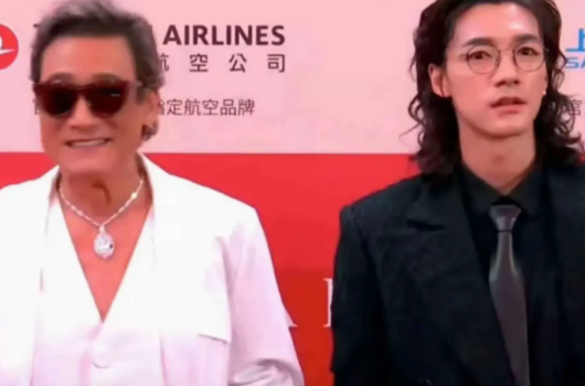 捕风追影背后绝对有高人指点，不然也不会这样选角色，选了梁家辉就算了，但我是真