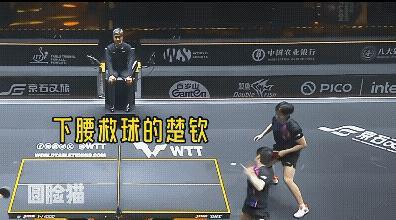 王楚钦和孙颖莎,八年搭档,没喊过累,没吵过架。球拍一搭,眼神一碰,就知道对方要