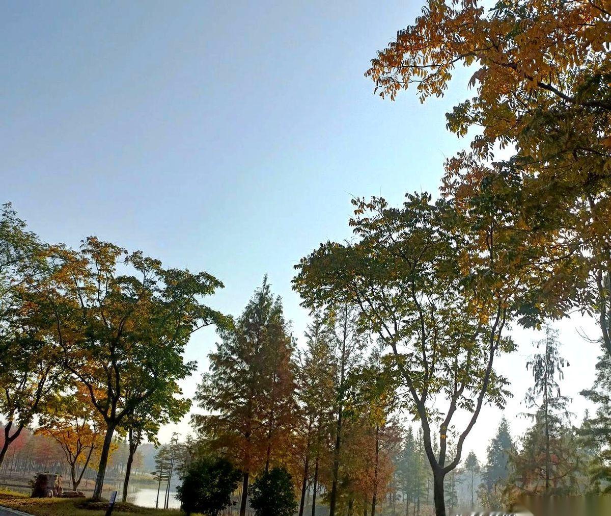 我跟你说，我们单位有个男的，绝了。前阵子，食堂阿姨跟我八卦，说他带一姑娘来食堂