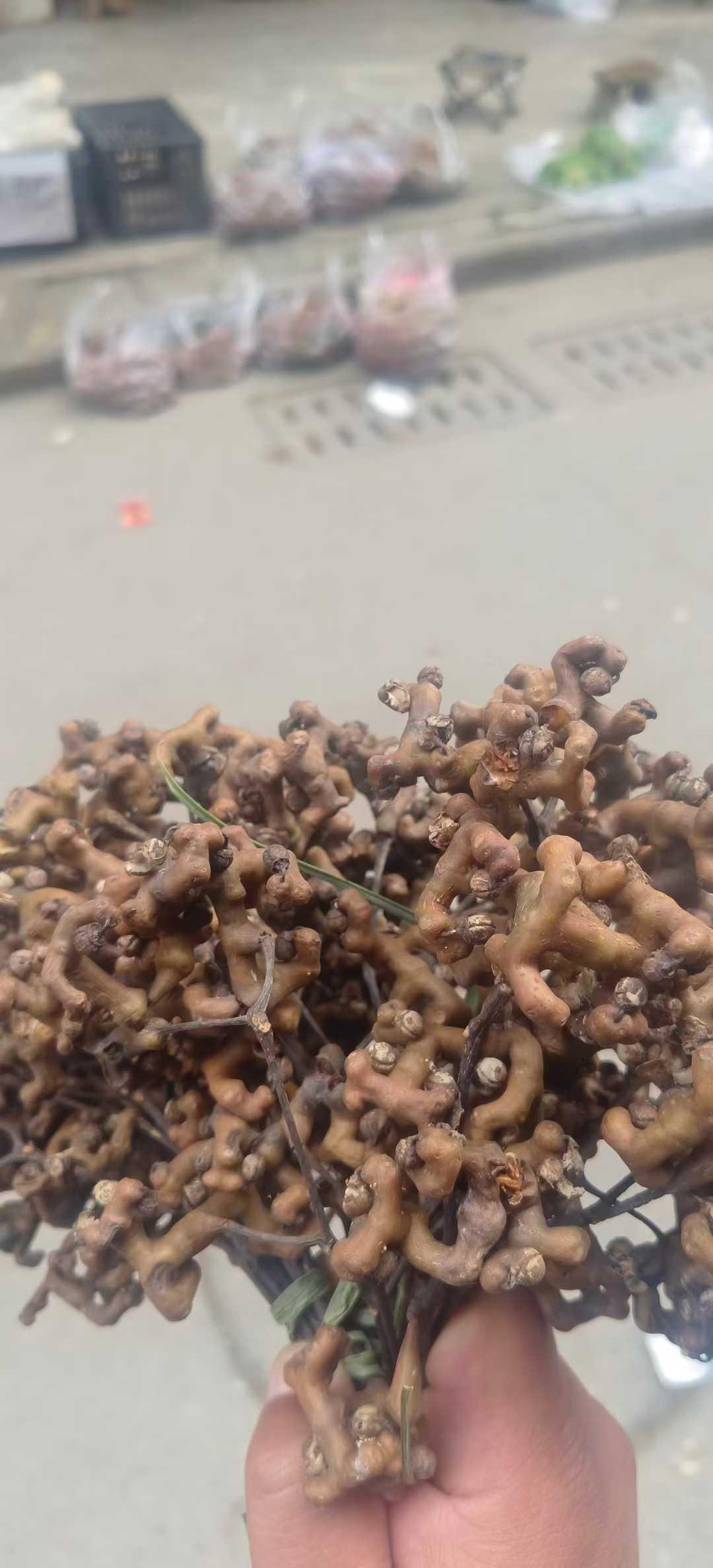 8点半，人们渐渐多了起来，预示着冬日的大集开场了。今年拐枣涩的呀，豆腐干整了炒腊