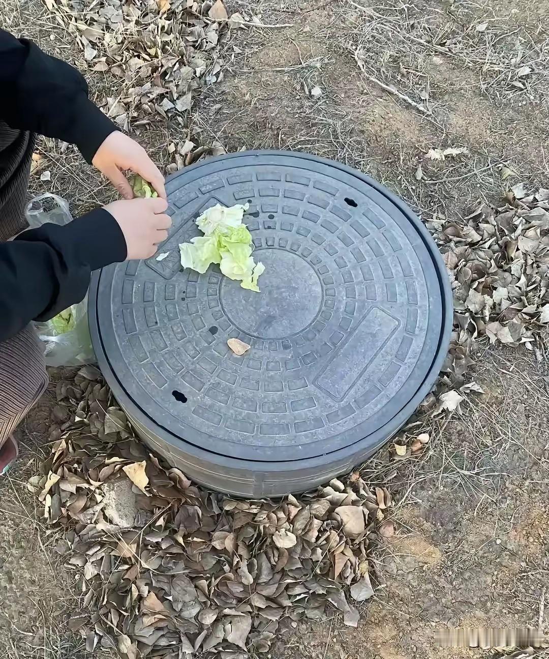 鄂尔多斯一位大哥把猫粮泡软，热水袋垫在泡沫箱里，夜里-26℃蹲在公园角落，拍到三