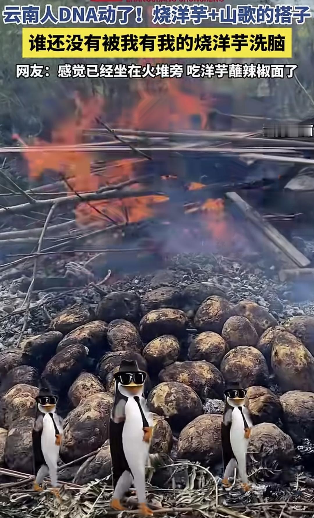 “你有你的肯德基，我有我的烧洋芋，你拿什么跟我比。”这个谁改编的云南山歌啊？马
