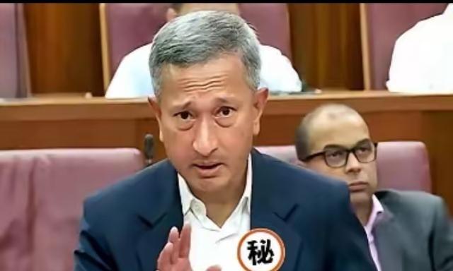 新加坡急了！急到在东盟会议上，外长都差点拍了桌子，直白地要求中国“尊重”马六甲的