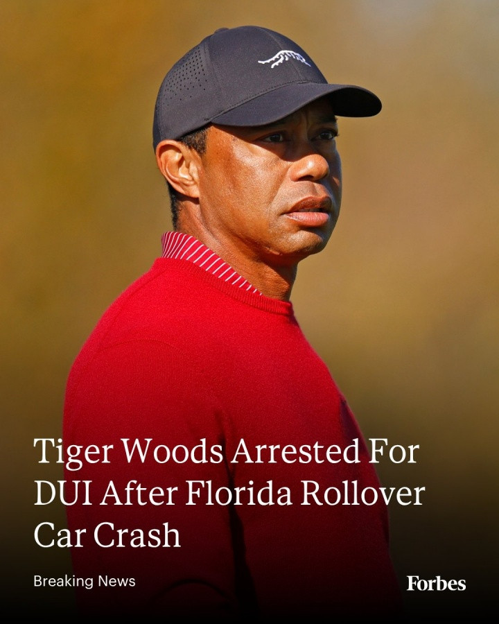 【老虎伍兹卷入车祸被捕】老虎伍兹面临毒驾等多项指控多家外媒报道，高尔夫传奇老虎