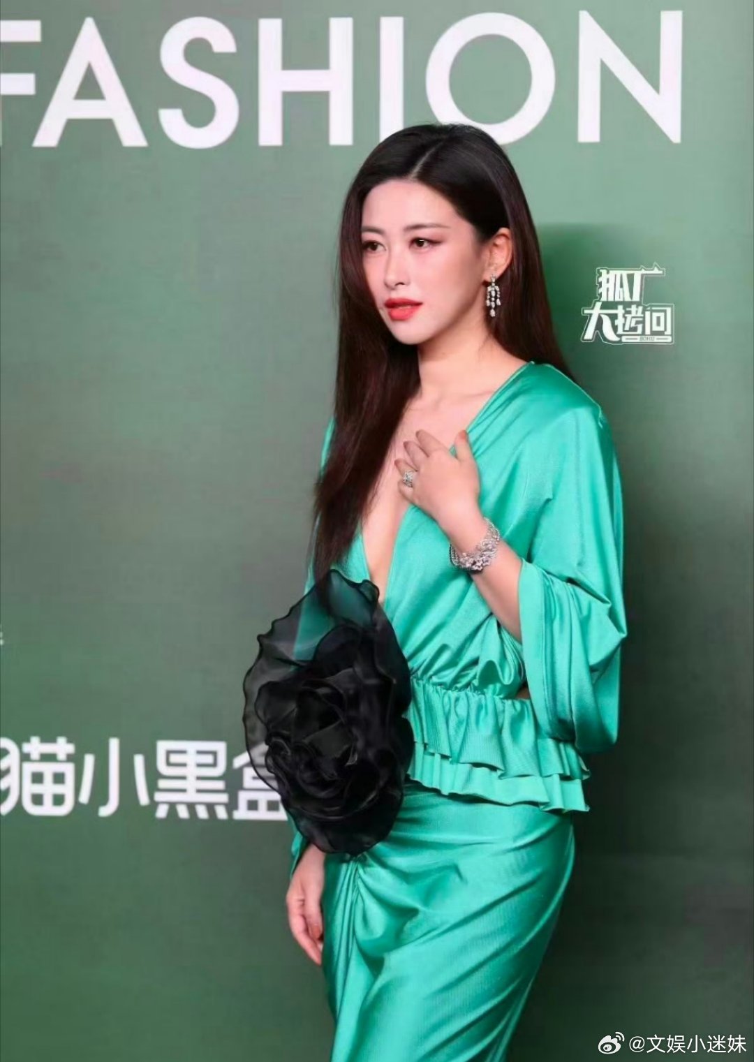 朱珠胸前好大一朵黑玫瑰这朵黑玫瑰仿若专为朱珠而生，神秘黑色邂逅东方气质，她一转