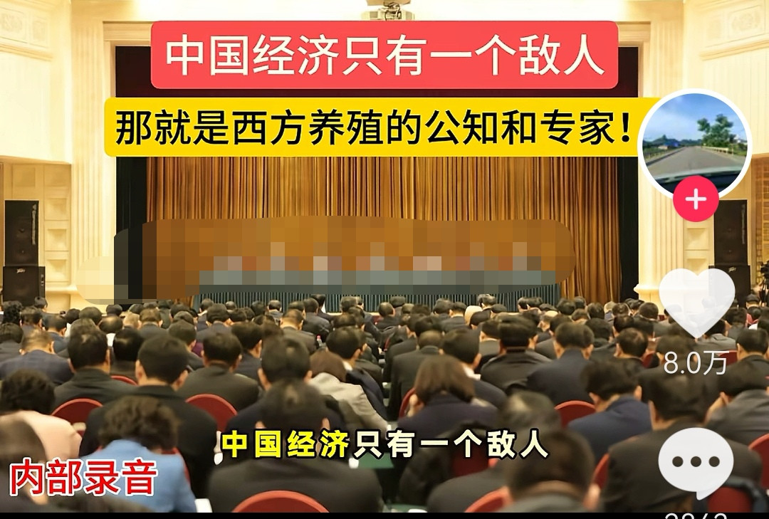 现在，哪个国家还搞碳排放？早就放弃了吧。这个结论可谓是一针见血的。