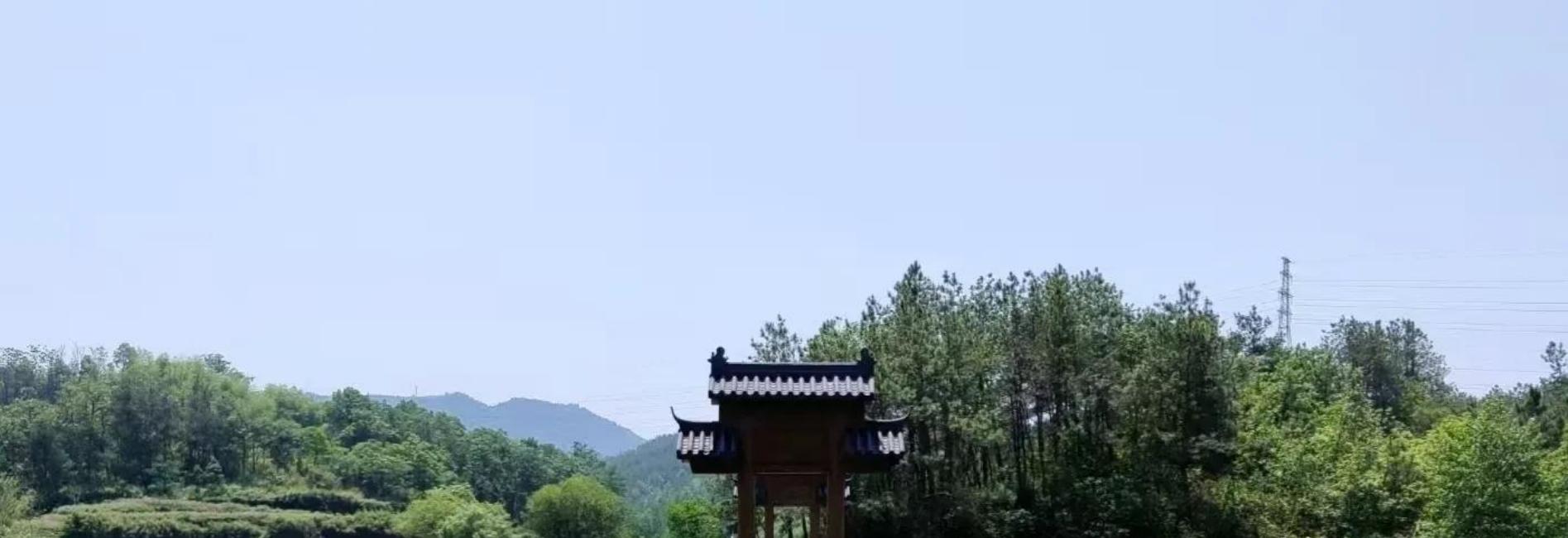 想要儿女婚姻顺利美满，父母需双向奔赴。我姐姐的女儿，一位32岁的中学教师