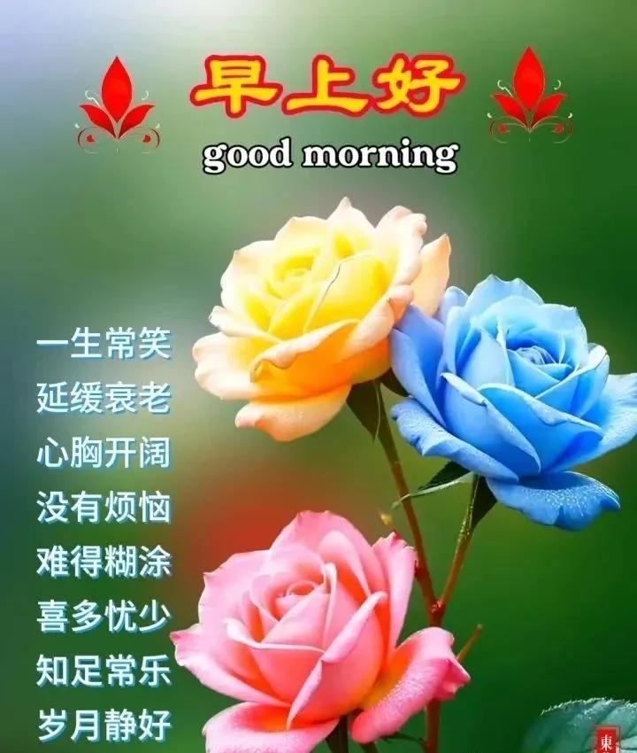 温暖的祝福，伴你一路前行；暖心的问候，祝你天天好心情；新的一天，愿你事事都圆满，
