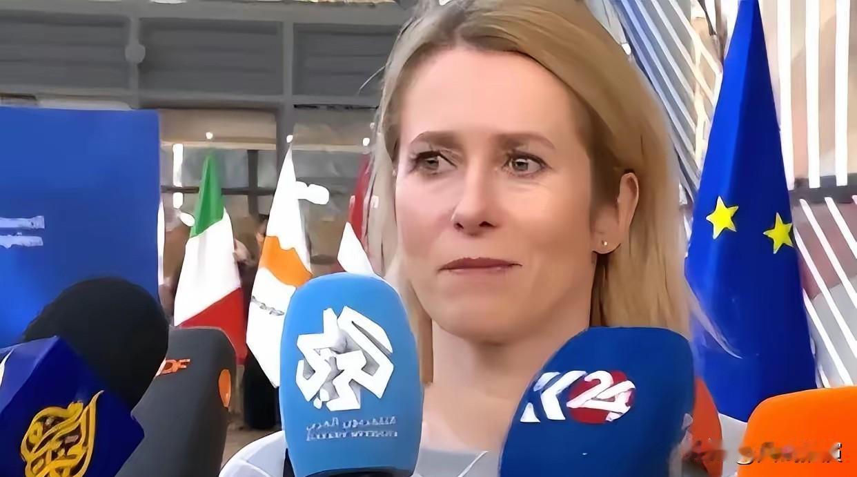 卡拉斯脑子进水了？欧洲这些政客，到现在还没看清现实。欧盟外长卡拉斯，还在