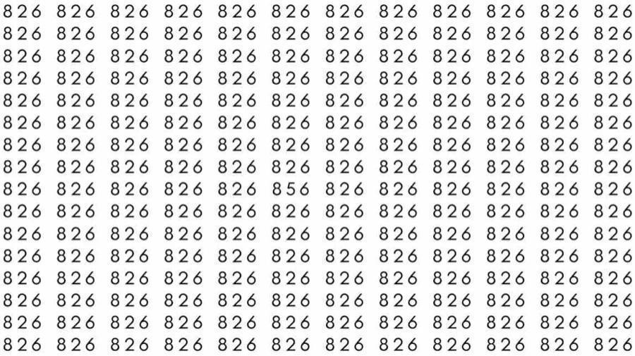 视错觉大脑测试：如果你有鹰眼，在39秒内从826中找出856？