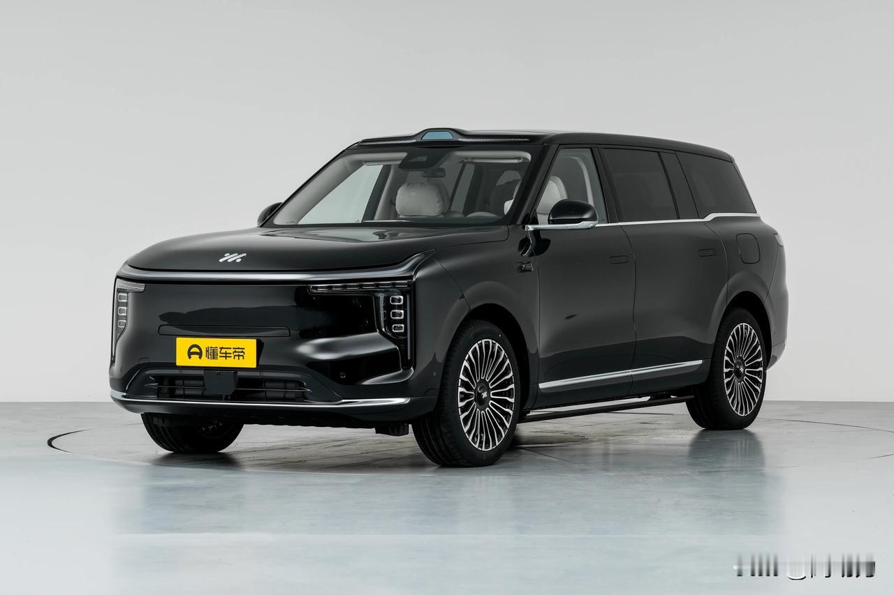 丰田合成公司宣布，其安全系统产品之一——侧帘式气囊已被中国汽车制造商旗下的豪华电