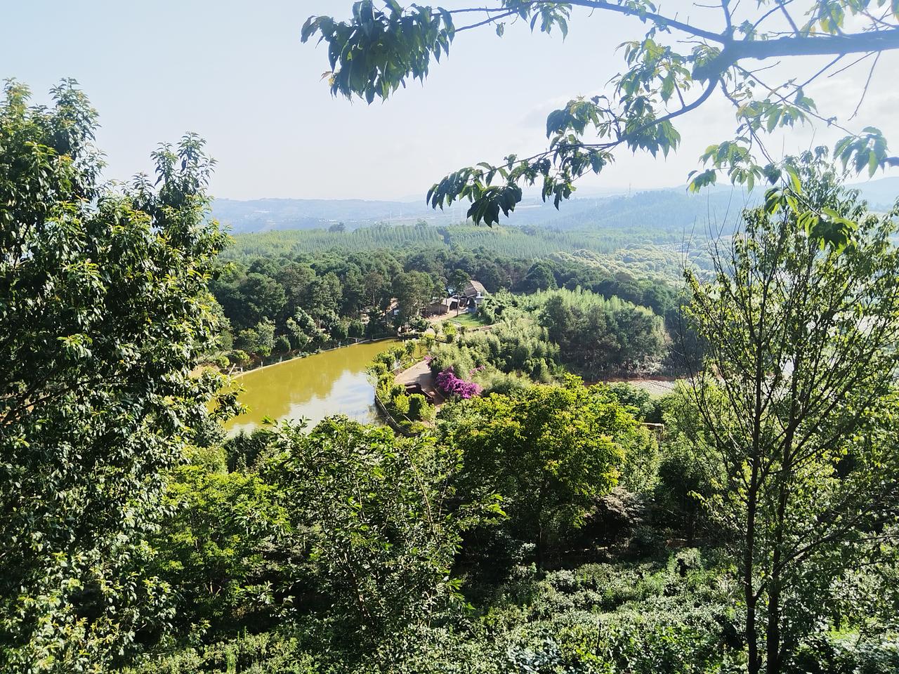 自然美丽的风景