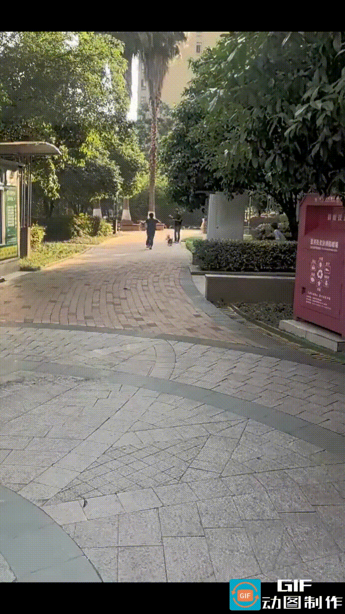 湖北宜昌某小区，女子带着自家没有拴绳的柯基在小区内遛弯。柯基快活地在前面撒欢，