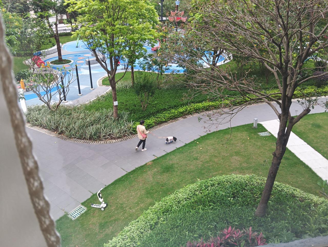 人一旦开始养狗、尤其是女人养狗，生活可能就陷入“停滞”了我现在居住的小区有很多