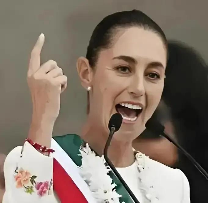 墨西哥对华加征最高50%关税，这哪是制裁中国，分明是给自己的产业链“下绊子”！2