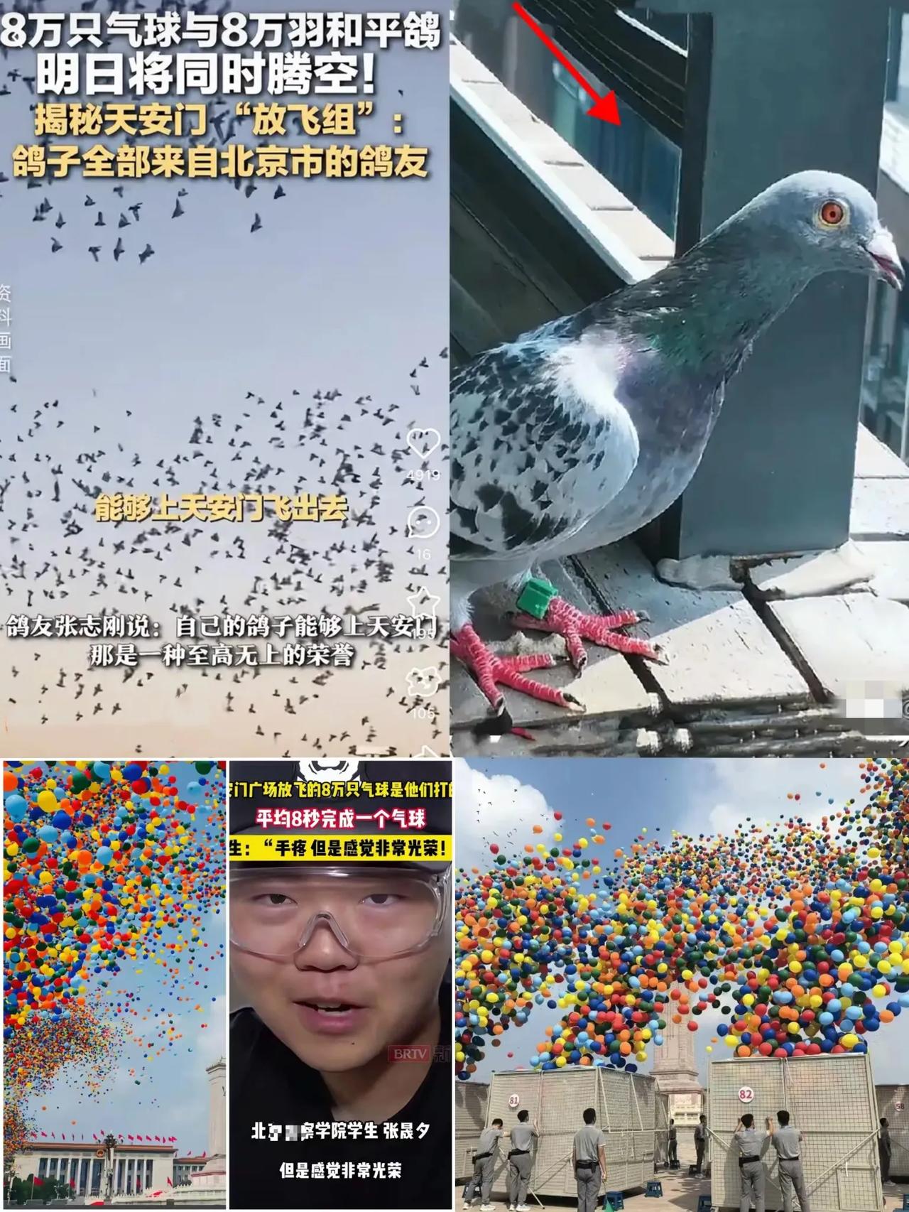 这下出名了，不止北京，连全国人民都知道了。8万只鸽子是借来的，8万只气球竟然是
