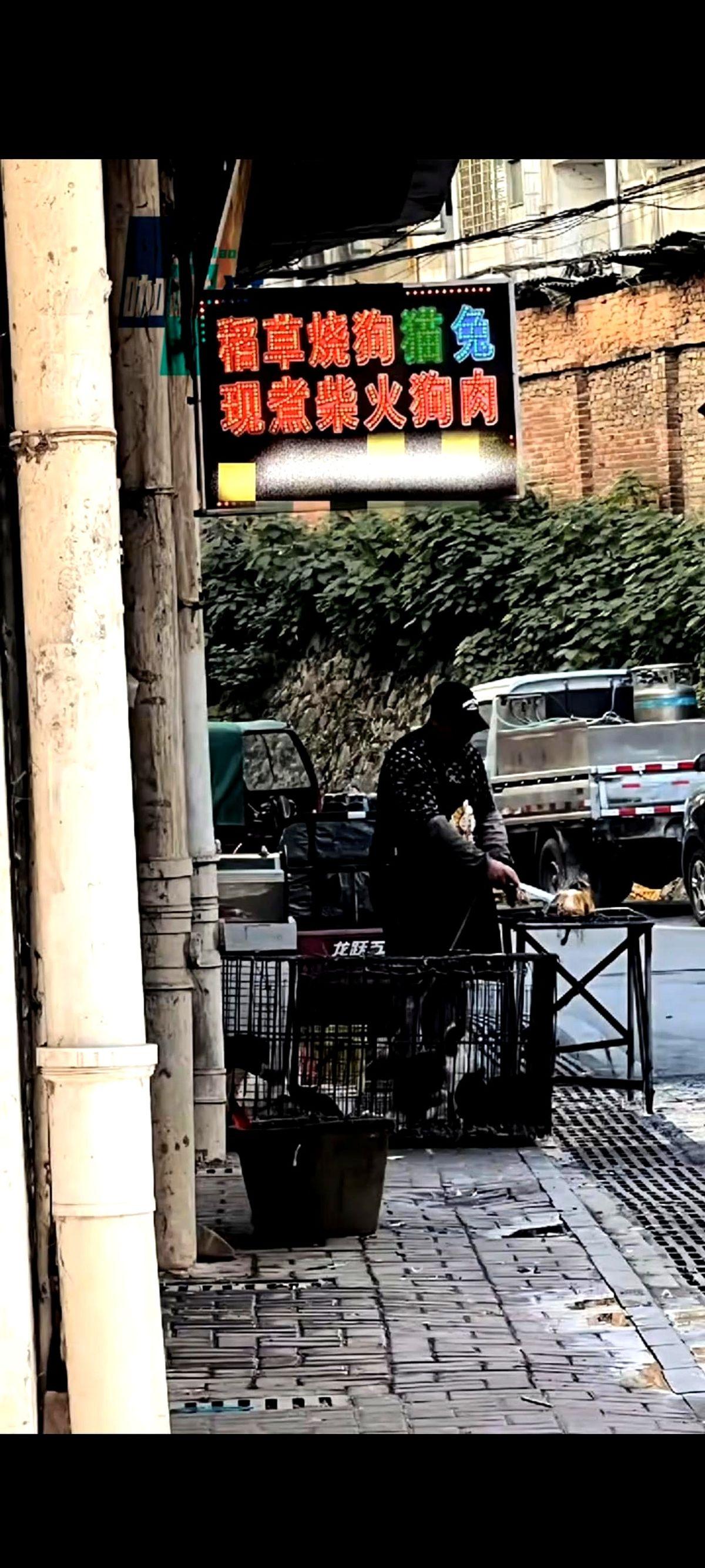 一家饭馆门口，竟然挂着个牌子，上面清清楚楚地写着：售卖流浪猫。一个路过的游客觉